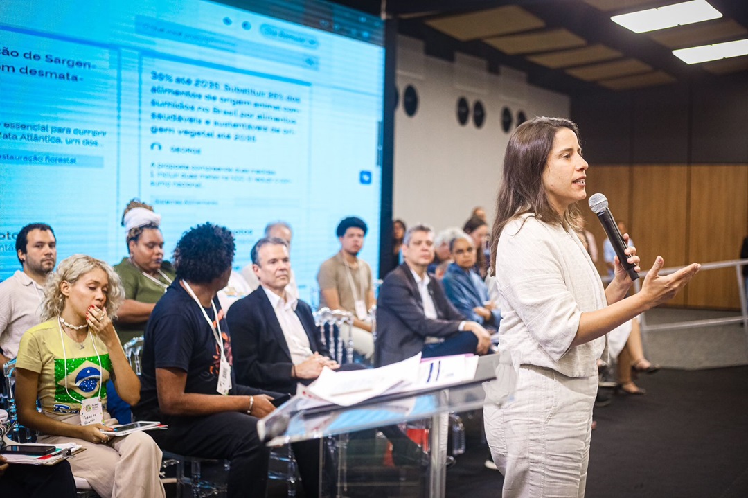 Governadora participou, ao lado de ministros, de uma plenária que debateu os desafios climáticos no Brasil