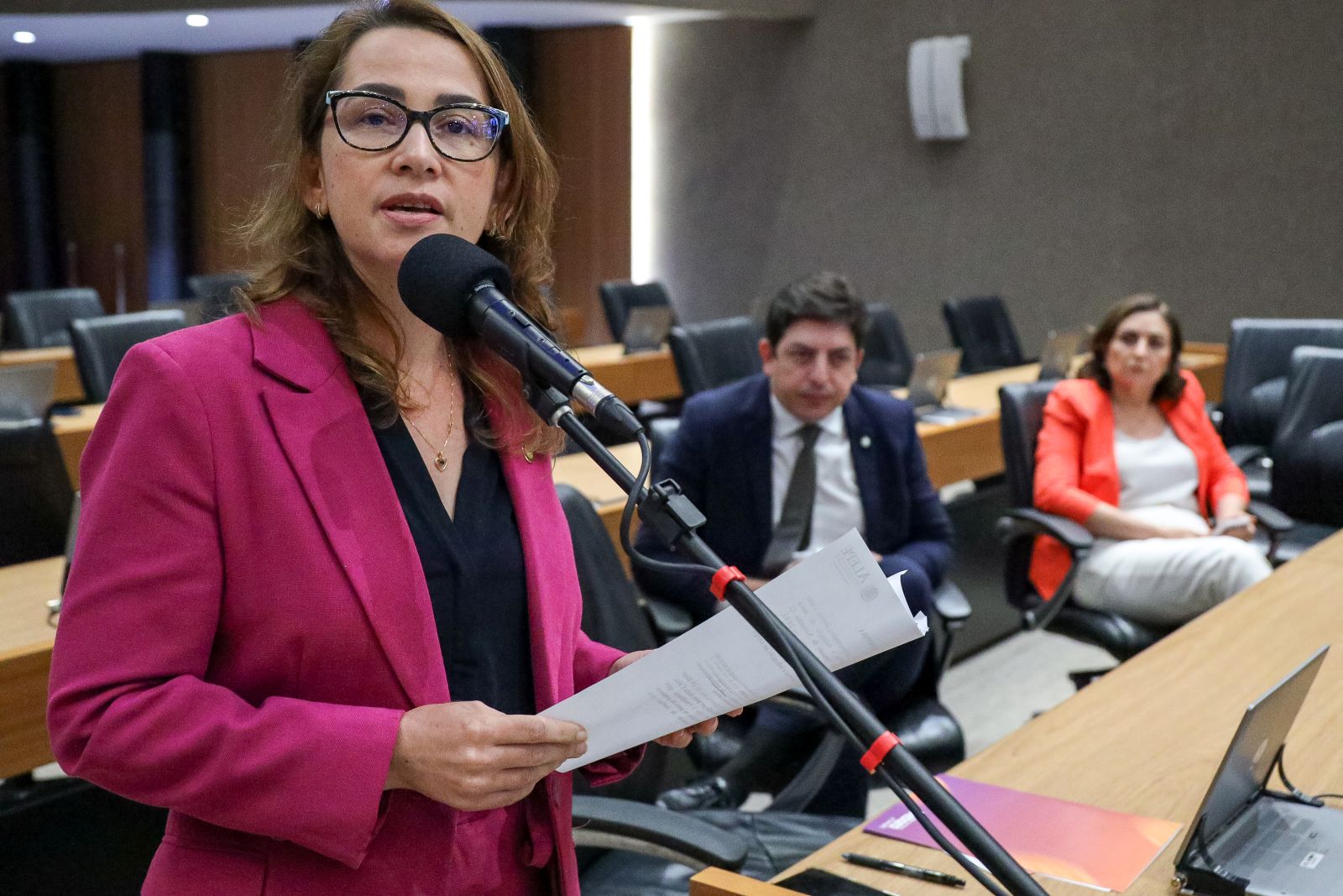 Integrante da bancada governista, a deputada Débora Almeida cobrou a votação do empréstimo de R$ 1,5 bilhão pela Alepe Foto Jarbas Araújo Alepe