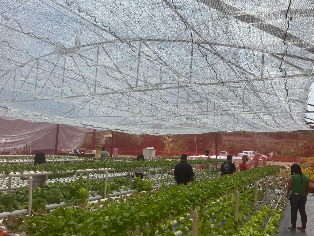 Parceria entre a Obra de Maria e a Codevasf inicia perfuração de poços artesianos e leva água a 800 famílias em Pernambuco