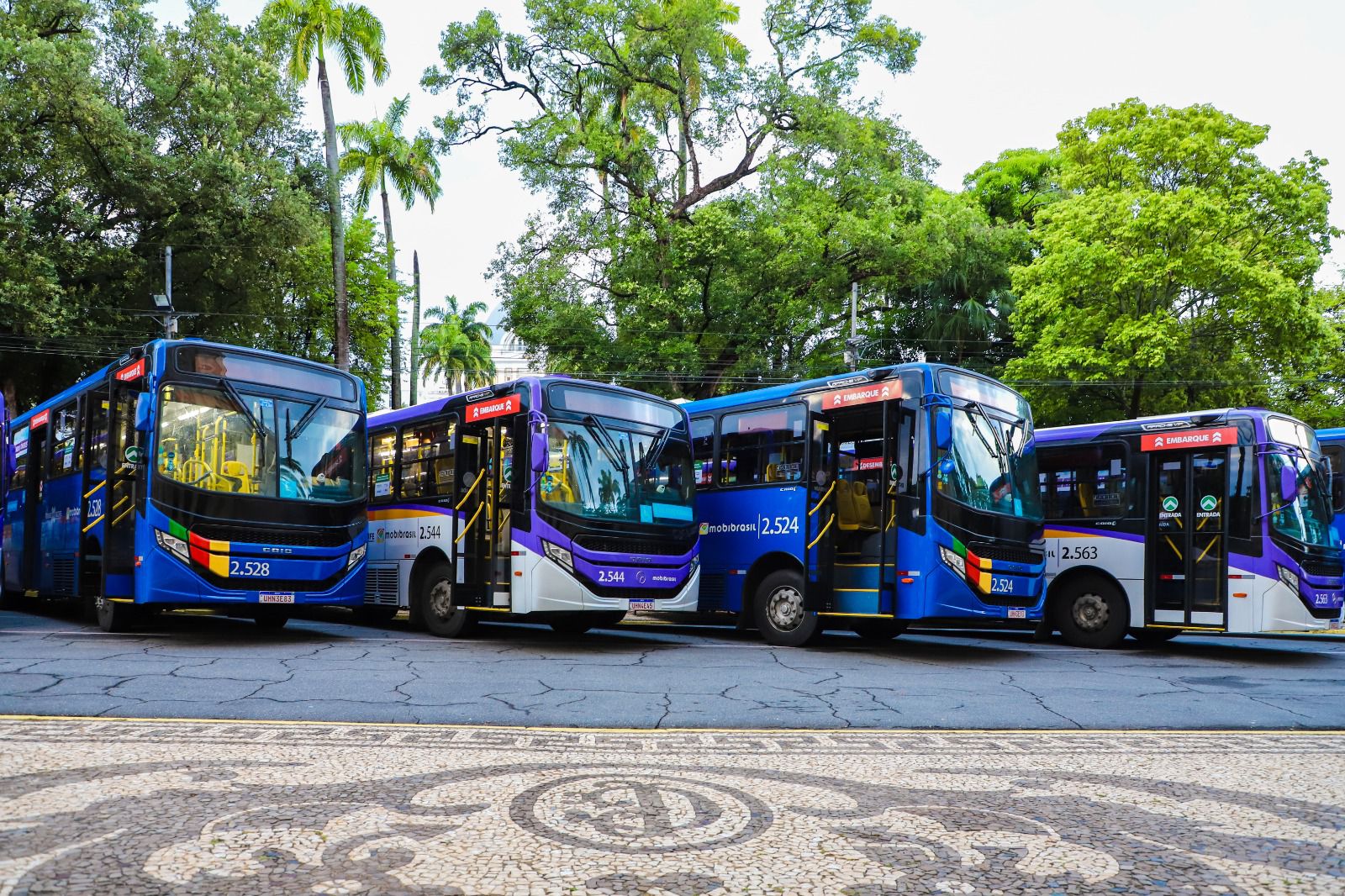 Governo de Pernambuco lança edital para compra de 100 ônibus elétricos para a Região Metropolitana do Recife, com investimento de R$ 310 milhões